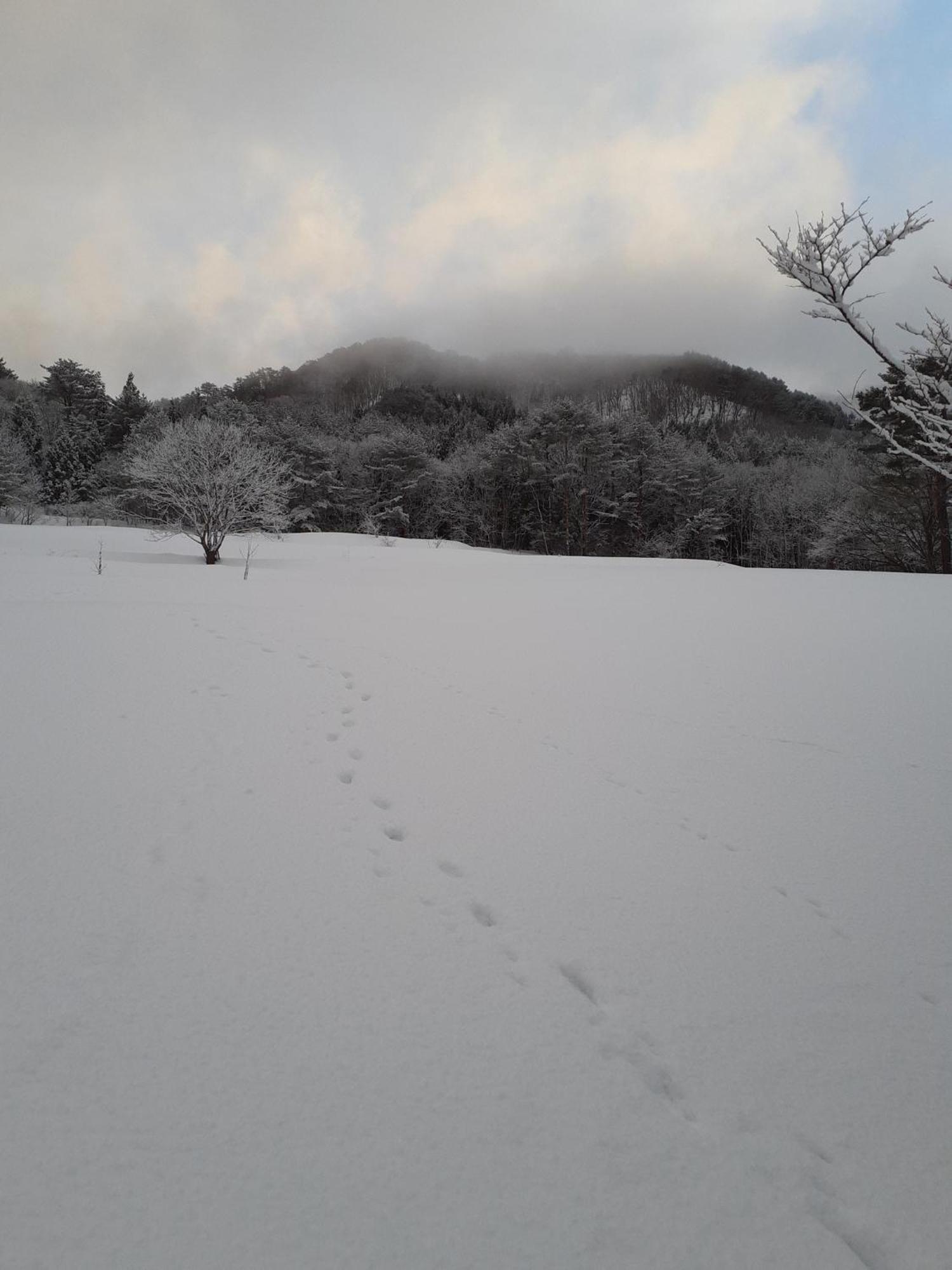 Tanehachi Farm Guesthouse - Vacation Stay 29709V Aomori Ngoại thất bức ảnh