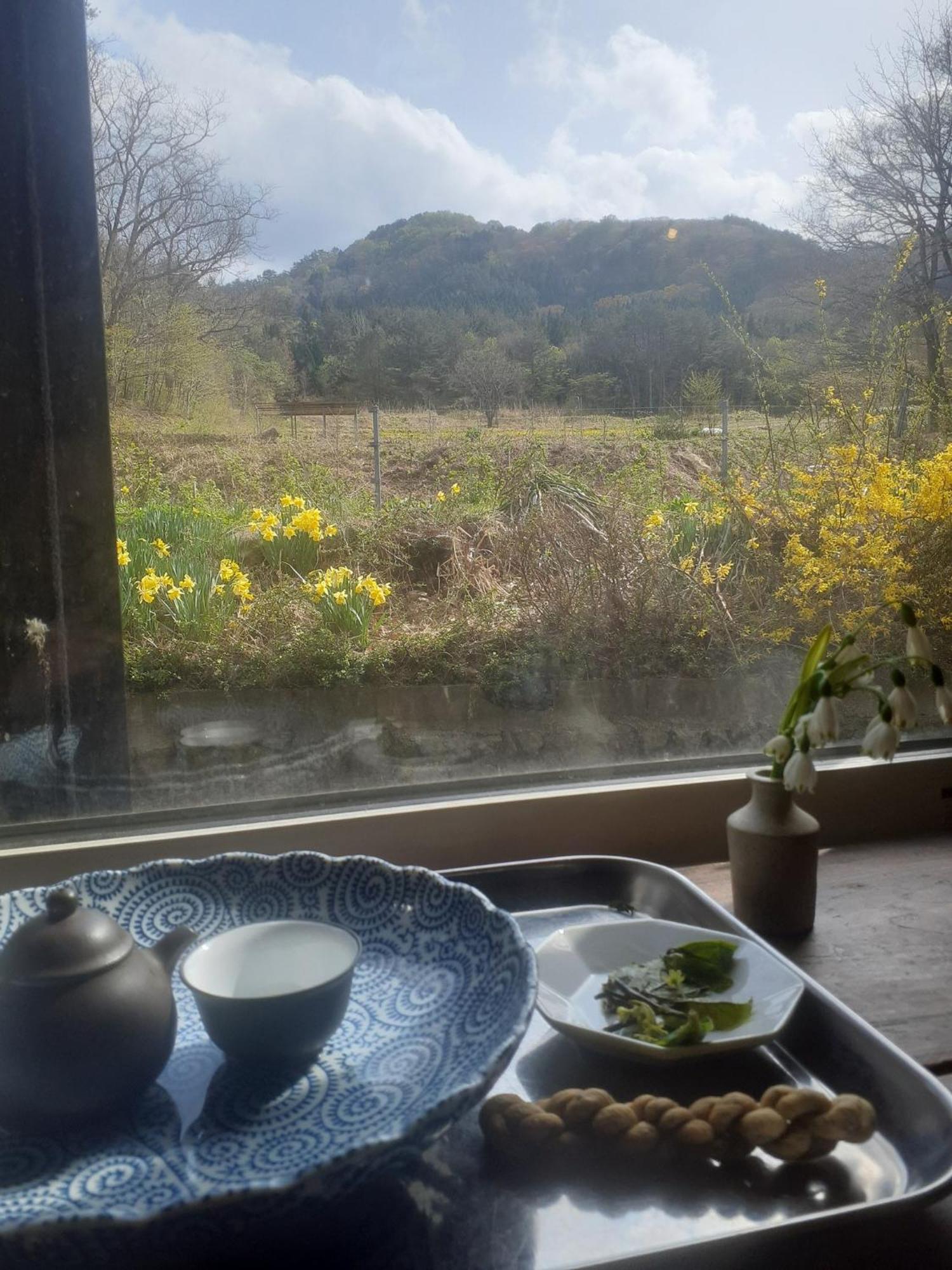 Tanehachi Farm Guesthouse - Vacation Stay 29709V Aomori Ngoại thất bức ảnh